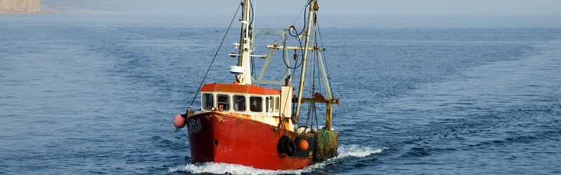 Fisheries and Shipping